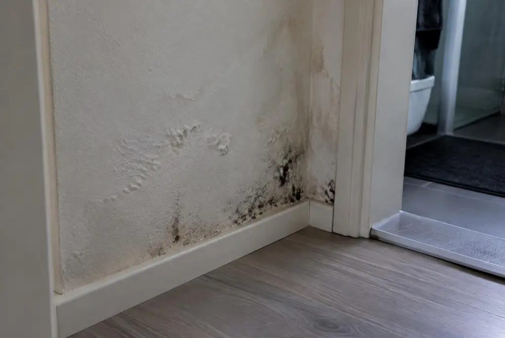 Lekdetectie Heerde – vochtplek met schimmel op een muur